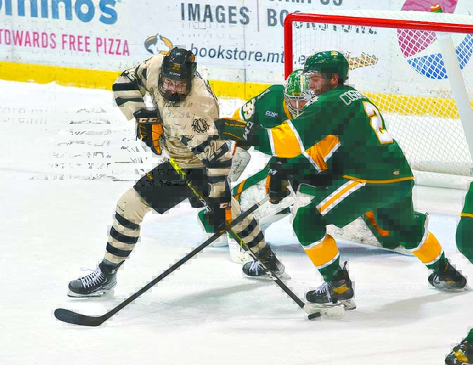 CCHA Announces Makeup Dates For Tech Vs NMU Hockey Series News CCHA Announces Makeup Dates For Tech Vs NMU Hockey Series News